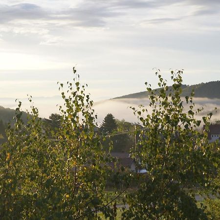 Gites Du Taennchel タネンキルヒ エクステリア 写真